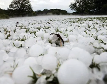 《紅樓夢》與強對流天氣